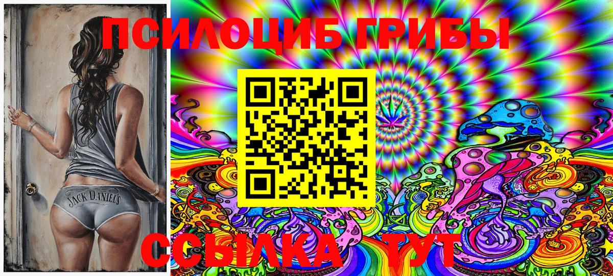 Переславль-Залесский  Псилоцибиновые грибы Magic Shrooms  Вход с VPN 